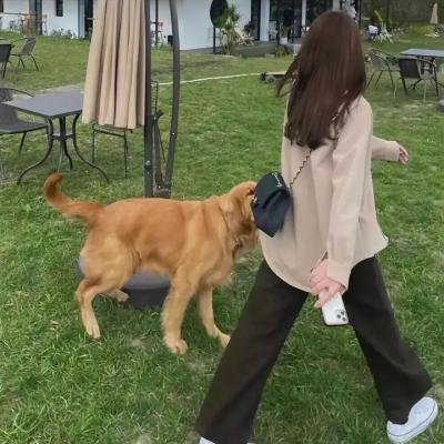 人肉机器